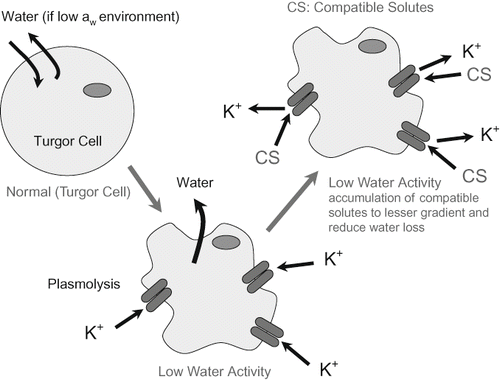 Figure 1 Microbial response at low water activity.