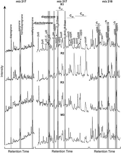 Figure 6. m/z 217 and m/z 218 ion chromatograms of the saturated hydrocarbon fractions of the surficial sediment samples showing sterane distributions. The grey shading highlights the key compounds used to calculate the diagnostic ratios in Table 4.