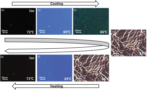 Figure 2. Typical POM images revealing the textures of LC-1 in Cell-1: (a) isotropic liquid at 72°C; (b) the higher-temperature-range phase with a uniform blue color at 69°C; (c) the lower-temperature-range phase at 66°C; and (d) the N* phase at 63°C during the cooling process. (e) The N* phase at 66°C; (f) the uniform blue color phase at 69°C; and (g) the isotropic liquid phase at 72°C during the heating process.