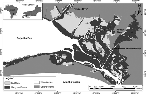 Figure 1. Map of the study area (Biological Reserve of Guaratiba, SE-Brazil), indicating the distribution of mangrove forests, salt flats, and water bodies.
