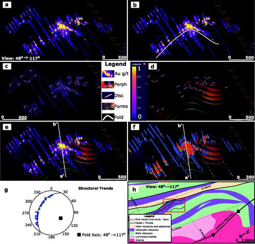 Figure 11. Simple workflow using MIP to analyse a deposit. (a) View with gold projected using MIP looking down plunge at 48→117. (b) An apparent fold is identified in the gold data. (c) The gold trend has been modelled using a series of structural discs (MIP turned off for clarity). (d) A series of structural forms have been modelled based on this structural geological data that model the fold surface. (e) The form surfaces are compared against the gold to see if the trends still make sense looking down plunge. (f) The same down-plunge view but showing the extracted volume points for the porphyry unit (in red). (g) A stereonet of the structural discs shows the poles form a great circle with a pole plunging SE at 48→117. (h) The fold trends overlayed onto the regional geology looking down the plunge of the apparent fold axis. Legend: Au g/t is the gold composites in grams per tonne, Porph is the porphyry, Disc means the structural discs, Forms are the structural forms built from the grade composites and fold is the interpreted fold seen in the grade.