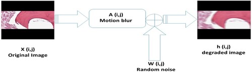 Figure 1. Image degradation process.