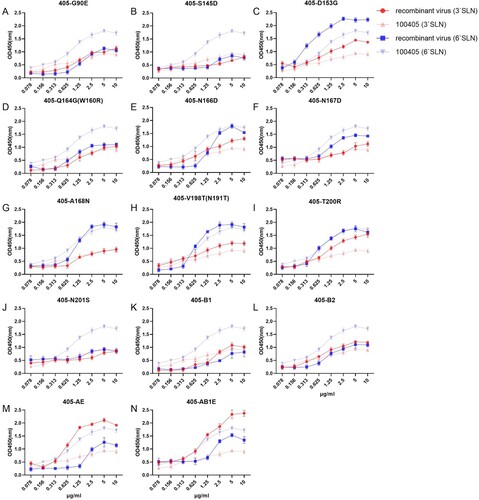 Figure 3. Receptor preference of 100405 recombinant viruses in the solid-phase binding assay. In multi-site mutants of 100405, the mutations A, B1, B2 and E represent SKD145 149 153DTG, QNNQ164 166 167 168RDGN, TVTN197 198 200 201DTRS and G90E mutations, respectively. 405-T197D and 405-A were excluded from solid-phase direct binding assays due to the low HA titres.