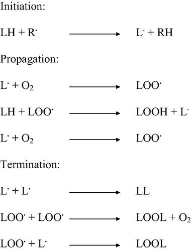 Figure 2. A schematic diagram of the different steps of the peroxidation of PUFA. This reaction is initiated when ROS abstract a hydrogen atom from the PUFA, leading to the generation of a peroxyl radical and the production of lipid free radicals.