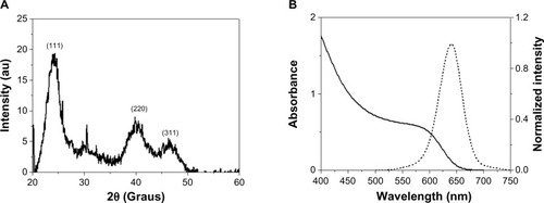 Figure 1 Structural and optical characterization of mercaptosuccinic acid-coated CdTe quantum dots. (A) X-ray diffraction pattern and (B) absorption (dark line) and emission (dashed line) spectra. The emission spectrum was acquired at λ =365 nm.Abbreviations: au, arbitrary unit; CdTe, Cadmium Telluride.