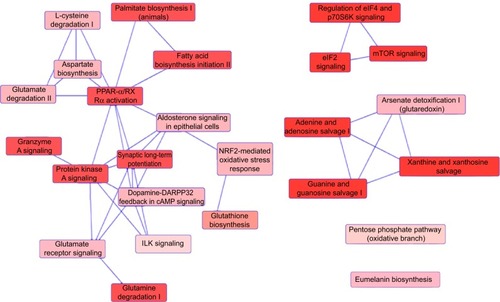 Figure 9 Proteomic analysis revealed networks of signaling pathways regulated by PLB in DU145 cells.