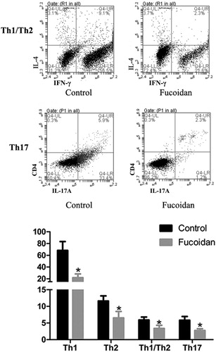 Figure 4. Effect of fucoidan on Th1/Th2/Th17. The expression of IFN-γ, IL-4 and IL-17A was detected by flow cytometry. Our results implied that fucoidan treatment notably reduced the IFN-γ, IL-4 and IL-17A levels and ameliorated the IFN-γ/IL-4 ratio. *P<0.05 vs the control group.
