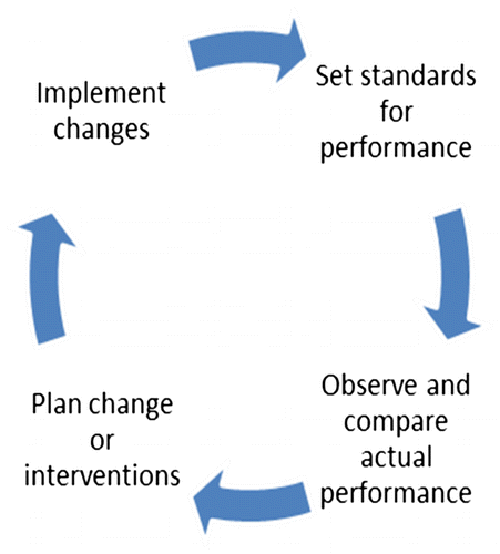 Figure 1: Steps of a quality improvement cycle