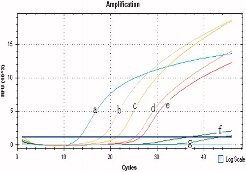 Figure 4. Sensitivity of the GNPA based on real-time PCR for the ricin A chain detection. Ten-fold dilutions of ricin A chain were subjected to the GNPA. Amplification plot of the signal DNA bound on GNP probe detected with real-time PCR showed that over 10−2 fg ricin A chain/ml were detected by the GNPA. (Curves A–F) amplification plots of 102, 101, 100, 10−1, 10−2, and 10−3 fg/ml ricin A chain detected by the GNPA. (Curve G) blank control.