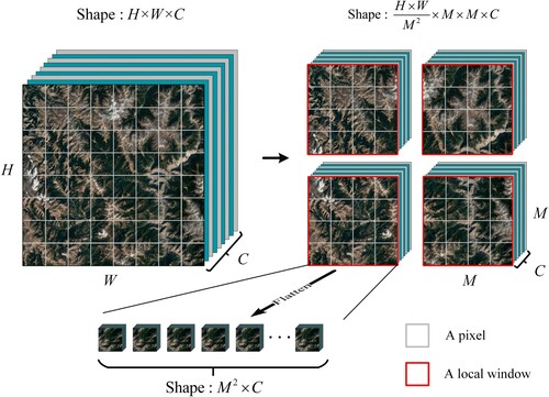 Figure 4. Window segmentation method in the spatial transformer block.