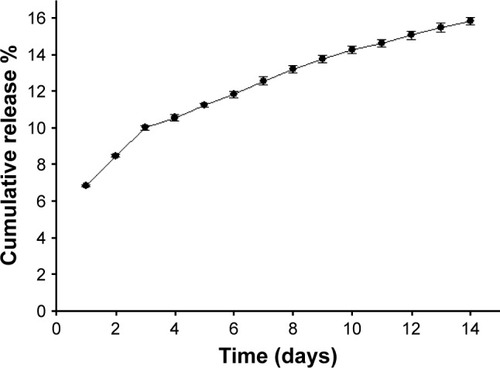 Figure 1 Release kinetics of RBRBR from RBRBR-CS-NPs in PBS, pH 7.4, 37°C.