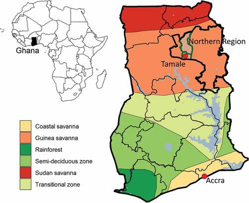 Figure 1. Map of Ghana and the project area in relation to the agroecological zones. The agroecological zones are modified from Osei and Stein (Citation2017).