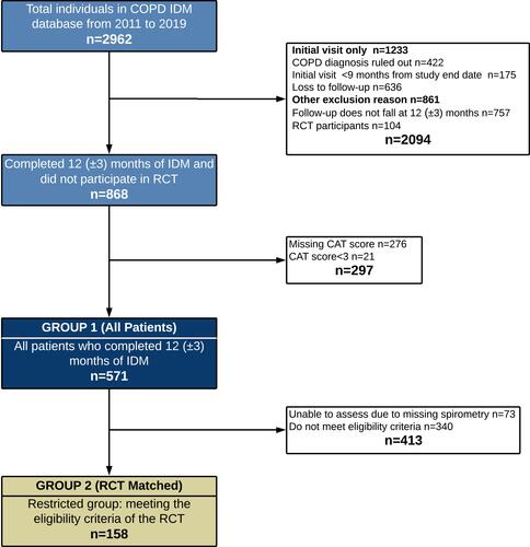 Figure 2 Flow showing patients enrolled on the Best Care COPD program and the study patients included.