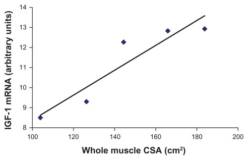 Figure 2 Whole-muscle CSA and insulin-like growth factor-1 mRNA expression in heart failure patients.