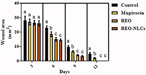 Figure 2. Effect of REO and REO-NLCs gels on wound area (mm2) on different days. Six animals in each group. Superscripts (a–b) show significant differences among groups on same day.