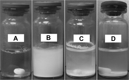 Figure 1 Formation of suspension by pyrene-A6K.Notes: (A) Pyrene crystals could not be dispersed in pure water. (B) Pyrene stirred with A6K forms a milky mixture and undergoes precipitation during storage. (C) Intermediate state of suspension after 2 days. (D) Suspension formed after 4 days.