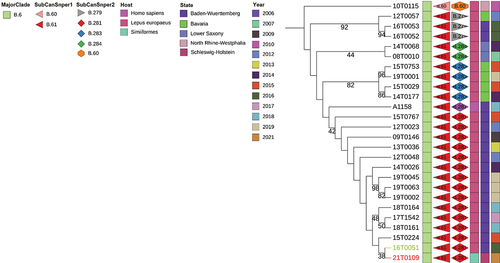 Figure 2. Subtree of the relevant clade of the phylogenetic tree of Francisella tularensis in Germany as shown in Supplementary Figure S1. This subtree is an enlarged section of the clade to which the gibbon sample clustered, indicated in the original tree by a black box. Symbols (colours and shapes) besides branches are explained in the corresponding columns of the legend (top left). Tree was calculated using published full genome sequences and visualized in iTOL. Reference strain OSU18 was used for rooting. Bootstrap values > 20 are given at the branches. Sequence from the white-handed gibbon (Hylobates lar) – derived isolate is shown in red (21T0109). Its closest relative in the data set, an isolate from a hare in Baden-Wuerttemberg (BW; 16T0051), is marked in green. As given in both panels in the left-hand upper corner: colours and shapes illustrate information for each sample (column 1 = major clade, column 2 = CanSnper1 subclade, column 3 = CanSnper2 subclade, column 4 = host species, column 5 = federal state, column 6 = year).