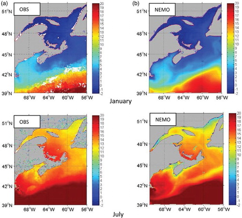 Fig. 6 Sea surface temperature (°C) in January (upper panels) and July (lower panels) for (a) AVHRR satellite observations and (b) simulation, averaged over the 1980–2009 period.