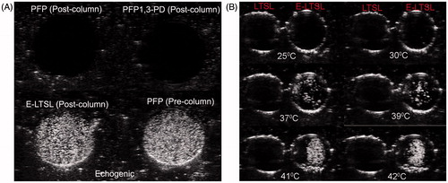 Figure 3. Ultrasound images of LTSL and E-LTSL from the phantom study. (A) Column purified PFP mixture containing PFP or 1,3-PD plus PFP showing no echogenicity (dark round black circle, top panel), whereas column purified E-LTSL sample showing similar echogenicity like unpurified PBS mixture containing PFP (white circular regions, bottom panel), (B) US intensity of LTSL and E-LTSL from 25–42 °C. A substantial increase in US intensity is noted at higher temperatures.