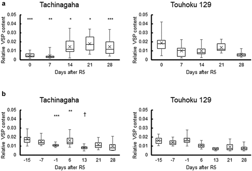 Figure 5. Dynamics of relative VSP content in Tachinagaha and Touhoku 129 in drought and excess wet experiments. The relative VSP content in Tachinagaha and Touhoku 129 in the field experiments was compared in 2018 (a) and 2019 (b). The data between treatments were combined. The whiskers show the highest and lowest data points in the dataset. Three lines in the box from top to bottom show the third quartile, median, and first quartile of the dataset. The symbol ‘×’ shows the average of the dataset. Differences between cultivars on the same date were compared at the following significance levels: †:10%, *:5%, **:1%, ***:0.1%.