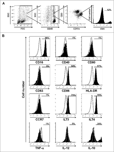 Figure 4. ccRCC-infiltrating slanDCs display a tolerogenic phenotype. (A) Cell suspensions were prepared from fresh ccRCC tissues. Within these cell suspensions, slanDCs were defined as CD45+CD11c+ slan+ cells. (B) The expression of various surface molecules and cytokines by slanDCs was determined by flow cytometry. The results of one representative ccRCC tissue out of 10 performed with similar results are depicted. Values represent the percentage of cells staining positive for each molecule (filled) compared to unstained cells (empty).