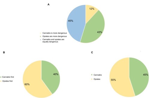 Figure 3 Views and beliefs on the comparison of cannabis and opiates.