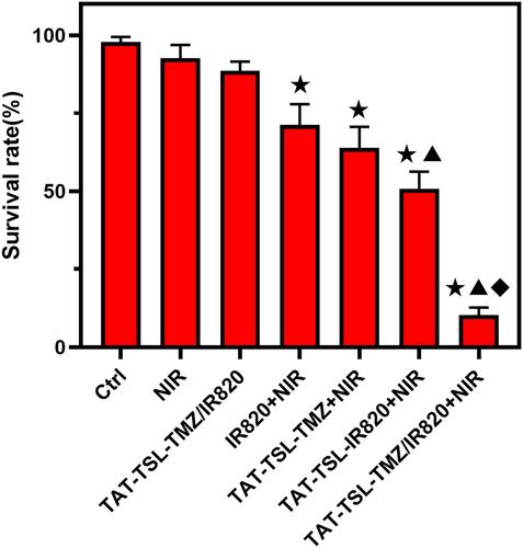 Figure 8 The killing effect of nanoparticles combined with NIR on MV3 cells was detected by CCK8 method. Compared with CTRL group, ★P < 0.05; ▲P < 0.05 compared with IR820+NIR group;◆P < 0.05 compared with TAT-TSL-TMZ+NIR and TAT-TSL-IR820+NIR groups.