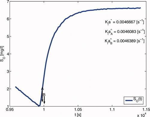 Figure 5. S O for parameter identification in the re-aeration phase.