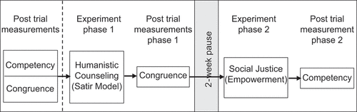 Figure 3. Experimental procedure.