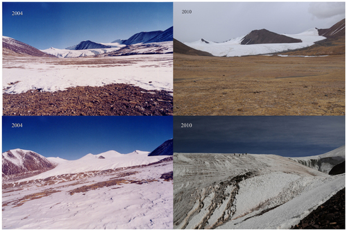 FIGURE 8. Dongkemadi Glacier in May 2004 and in May 2010. The upper photos were taken at the front of the glacier tongue; the lower photos were taken at the lateral moraine of the glacier.
