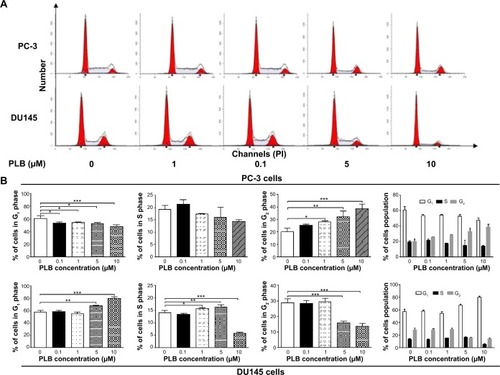 Figure 17 PLB inhibits the proliferation of PC-3 and DU145 cells, and induces G2/M arrest in PC-3 cells and G1 arrest in DU145 cells.