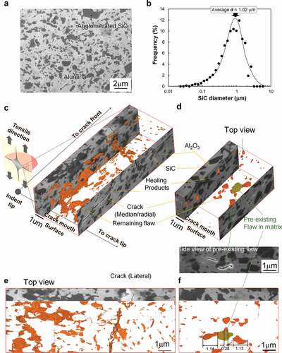 Figure 3. Initial microstructure (a and b) and three-dimensional behaviors of HP filling in the crack gaps in self-healed AS30P (c-f). 3D image reconstructed from 500 images from orthogonally arranged FIB-SEM images and top-view images of a healed crack close to the indenting tip in AS30P healed at 1473 K (c) and (e) for 1 h and (d) and (f) for 50 h, respectively.