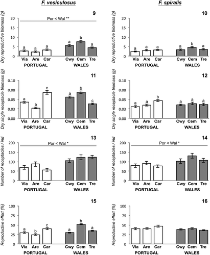 Figs 9–16. Fucus reproductive traits across different shores at Portugal and Wales. Fig. 9. Fucus vesiculosus dry reproductive biomass. Fig. 10. Fucus spiralis dry reproductive biomass. Fig. 11. Fucus vesiculosus dry single receptacle biomass. Fig. 12. Fucus spiralis dry single receptacle biomass. Fig. 13. Fucus vesiculosus number of receptacles. Fig. 14. Fucus spiralis number of receptacles. Fig. 15. Fucus vesiculosus reproductive effort. Fig. 16. Fucus spiralis reproductive effort. Error bars = ±1SE; Only post hoc SNK tests of significant differences are presented; different lowercase letters indicate significant differences of fucoid responses variables on populations from different shores within the same geographic regions, while lines over bars indicate significant differences of fucoid responses variables between geographic regions; *(P < 0.05) and **(P < 0.01) indicate levels of significant difference. Abbreviations used – Por: Portugal; Wal: Wales; Via: Viana do Castelo; Are: Areosa; Car: Carreço; Cwy: Porth Cwyfan; Cem: Cemlyn Bay; Tre: Trearddur Bay.