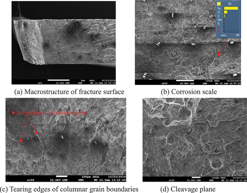 Figure 15. The morphology of fracture surface before pickling.