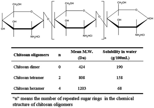 Figure 1. Chemical structures and physicochemical properties of various chitosan oligomers.