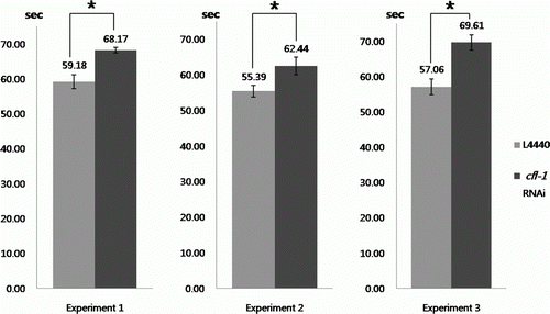 Figure 4.  Effect of cfl-1 RNAi on defecation frequency. Worms treated with RNAi construct targeted to cfl-1 showed a slight increase in average time interval between defecations. Each bar represents average value (in seconds) calculated from 10 worms ± SD (*p<0.01). Data from three independent experiments are shown.