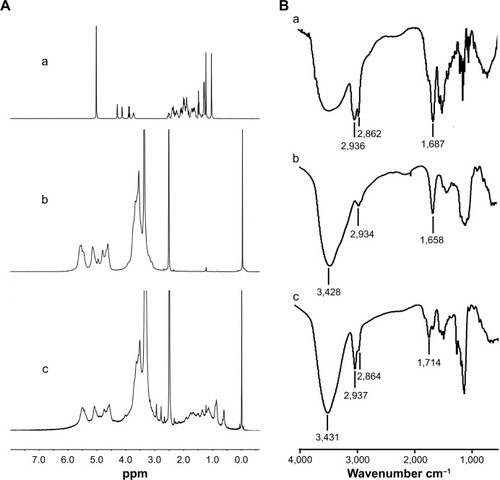 Figure 1 (A) 1H-NMR spectrum of (a) DOCA, (b) HES and (c) HES-DOCA; (B) FTIR spectra of (a) DOCA, (b) HES and (c) HES-DOCA.Abbreviations: HES, hydroxyethyl starch; DOCA, deoxycholic acid; HES-DOCA, hydroxyethyl starch-deoxycholic acid.