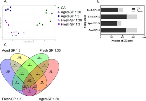 Figure 2. Principle component analysis (PCA) and differently expressed (DE) genes after exposure to fresh- and aged-SP.