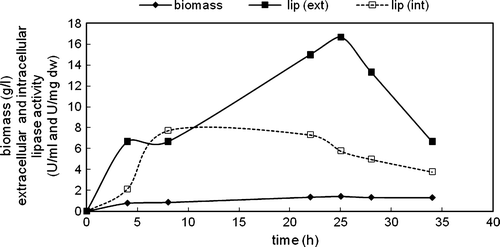 Figure 7.  Variations in biomass, extracellular and intracellular enzyme activities with time in the cultivation of C. rugosa (one-step inoculation; carbon source: 3 g/l oleic acid; T = 30°C; N = 150 rpm).