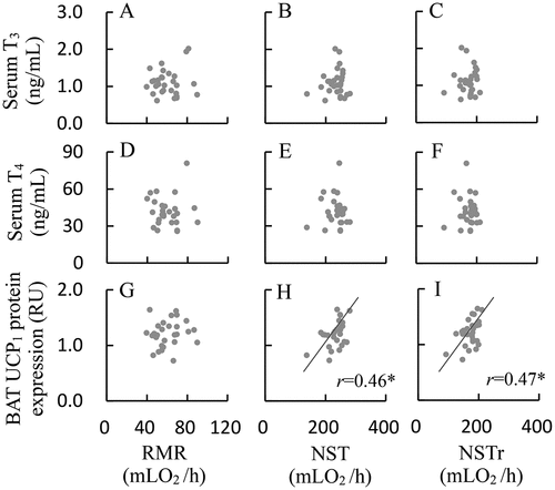 Figure 8. Relationships between metabolic thermogenesis and serum T3 (a-c: RMR, NST and NSTr) and T4 concentrations (d-f: RMR, NST and NSTr), and BAT UCP1 expression (g-i: RMR, NST and NSTr) in striped hamsters subjected to repeated cold (5°C) and warm (23°C) temperature cycles. Data are plotted; *, the significant correlations (P < 0.05).