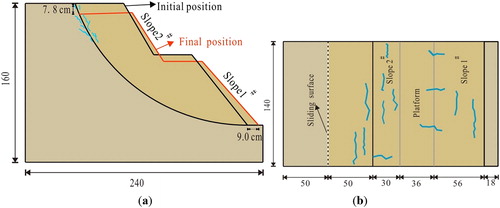 Figure 12. Test phenomenon of the unreinforced landslide model: (a) side view; (b) top view (unit: cm).