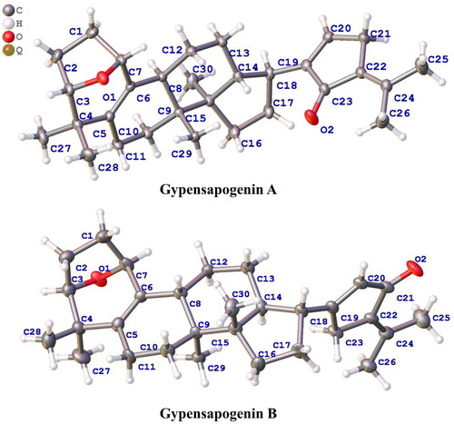 Figure 3. Crystal structure of compounds Gypensapogenin A (4) and Gypensapogenin B (5).