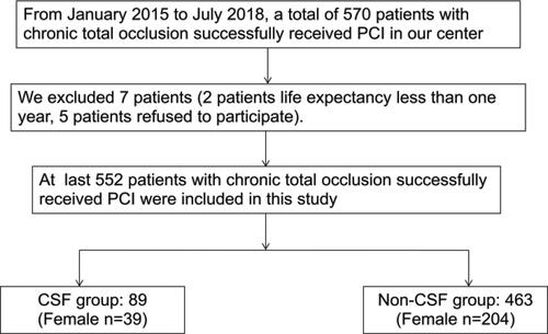 Figure 1 Study profile.Abbreviations: PCI, percutaneous coronary intervention; CSF, coronary slow-flow.