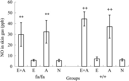 Figure 4. Comparison of the NO concentrations in the rat tails between the four groups. **P < 0.01. The NO concentrations were significantly higher in the L-arginine groups (A and A + E) than in the non-L-arginine groups (E and N) of obese rats. ++P < 0.01. The NO concentrations were significantly higher in the L-arginine groups (A and A + E) than in the non-L-arginine groups (E and N) of control rats.