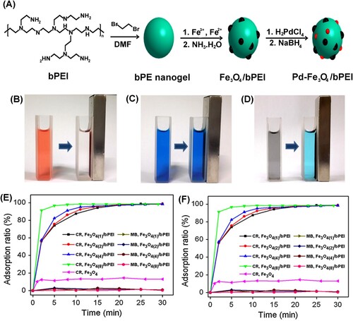 Figure 11. (A) Schematic illustration of the preparation of Fe3O4/bPEI and Pd-Fe3O4/bPEI nanocomposites, digital photos of dye solution before and after absorptions by the Fe3O4/bPEI nanocomposite, (B) 80 mg/L of CR, (C) 80 mg/L of MB, and (D) the mixture of CR (53.3 mg/L) and MB (26.7 mg/L), (E) adsorption curves of Fe3O4/bPEI nanocomposites toward CR and MB in neutral medium (pH 7). (F) adsorption curves of Fe3O4/bPEI nanocomposite toward CR and MB in different mediums. Reprinted from Ref. [136] with permission from Springer.