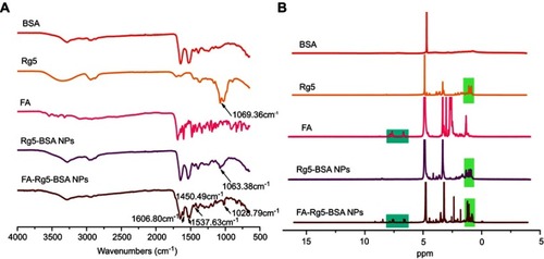 Figure 3 Characterization of folic acid modification.Notes: (A) The FT-IR and (B) 1H NMR spectra of BSA, Rg5, FA, Rg5-BSA NPs and FA-Rg5-BSA NPs.Abbreviations: BSA, bovine serum albumin; Rg5, ginsenoside Rg5; FA, folic acid; NPs, nanoparticles; FT-IR, fourier transform infrared spectroscopy; 1H NMR, nuclear magnetic resonance.