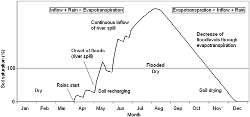 Fig. 11 Indicative water budget of the seasonal flooded grasslands (river-fed) during an annual flooding cycle.