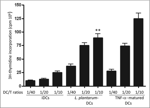 Figure 5. Potency of various DC preparations to stimulate allogeneic T cell proliferation. DCs were co-cultured with allogeneic CD4+ T cells at a T cell/DC ratio of 1:40, 1:20 or 1:10. Cells were co-cultured for 5 d at 37°C and T-cell proliferation was determined by incorporation of [3H]-thymidine following overnight pulsing. The results are presented as mean values ±SD for triplicate determination and are representative for 3 separate experiments. p < 0.01.