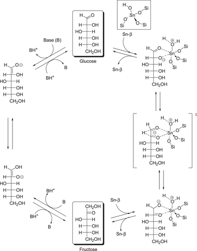 Figure 8. Possible reaction mechanism for Lewis acid (Sn-β) or Br⊘nsted base (NaOH) catalyzed transformation of glucose into fructose [Citation111, Citation125].