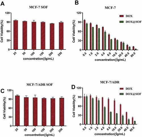 Figure 3. The therapeutic effect of DOX@SOF. Relative viabilities of MCF-7 cells treated with different concentrations of (A) SOF (B) Free DOX and DOX@SOF for 48 h. Relative viabilities of MCF-7/ADR cells treated with different concentrations of (C) SOF (D) Free DOX and DOX@SOF for 48 h (mean ± SD, n = 3).